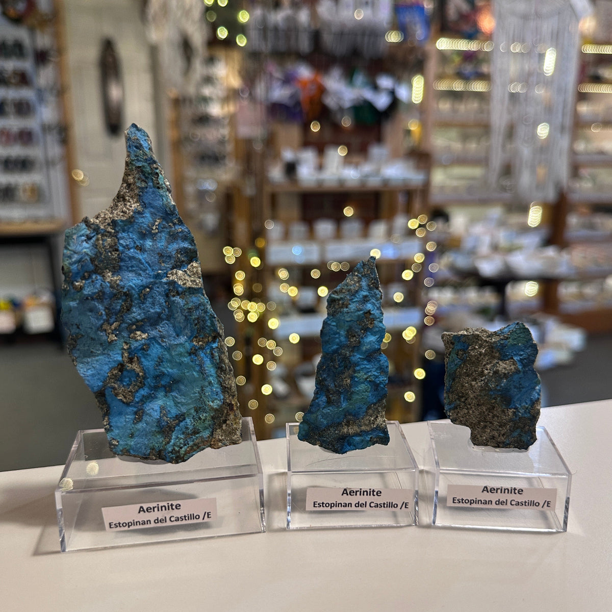 Three blue aerinite mineral specimens on clear acrylic stands, displayed on a white surface with a blurred shop background and warm string lights.