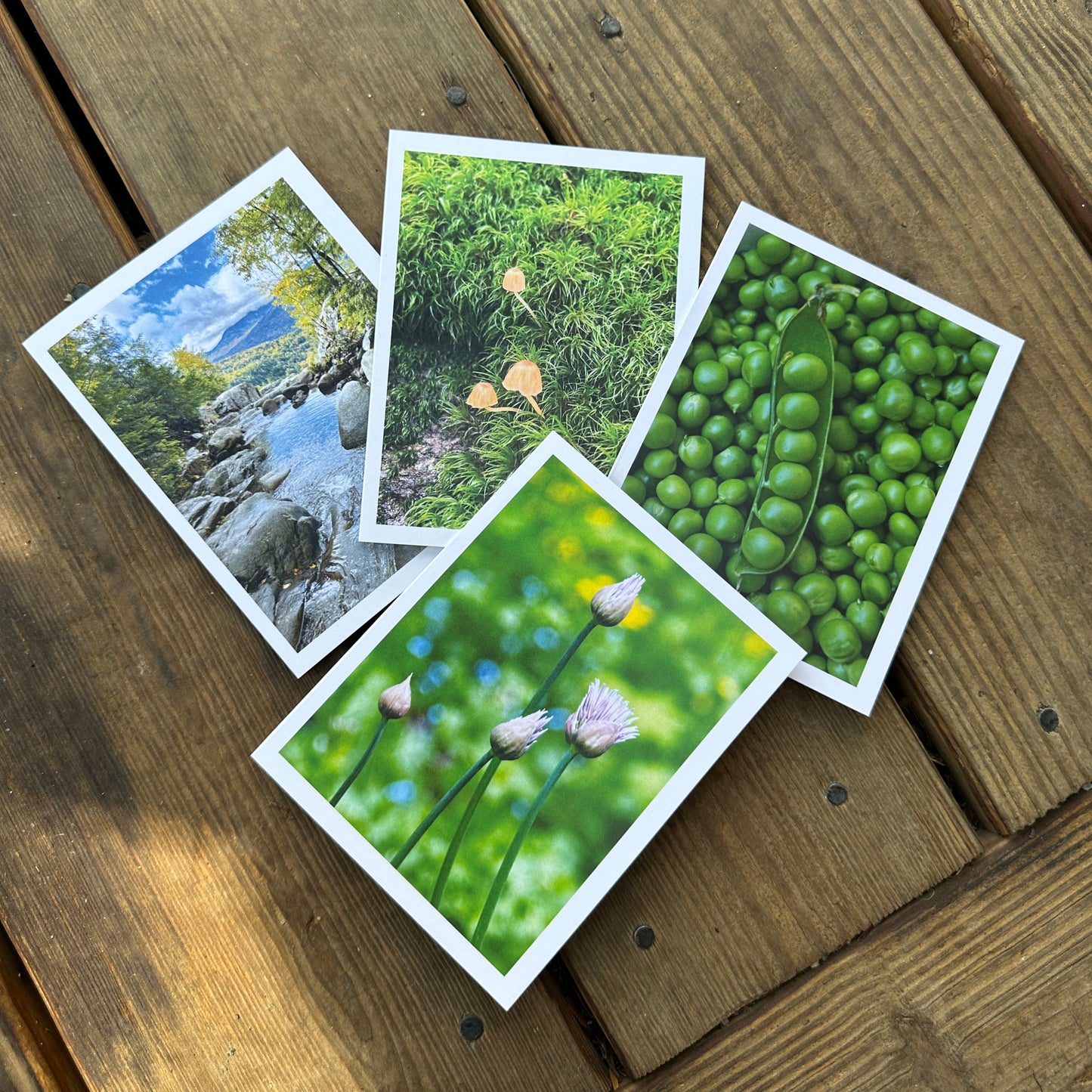 Nature Greeting Cards