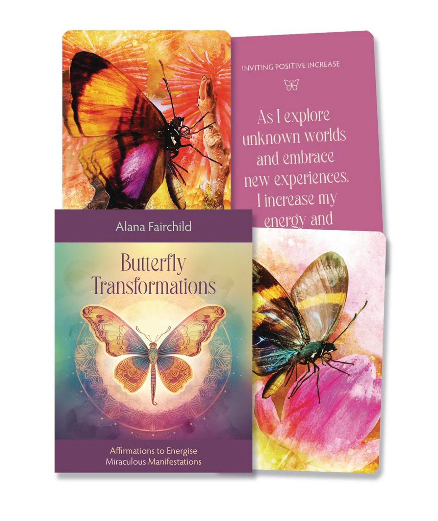 Butterfly Transformations