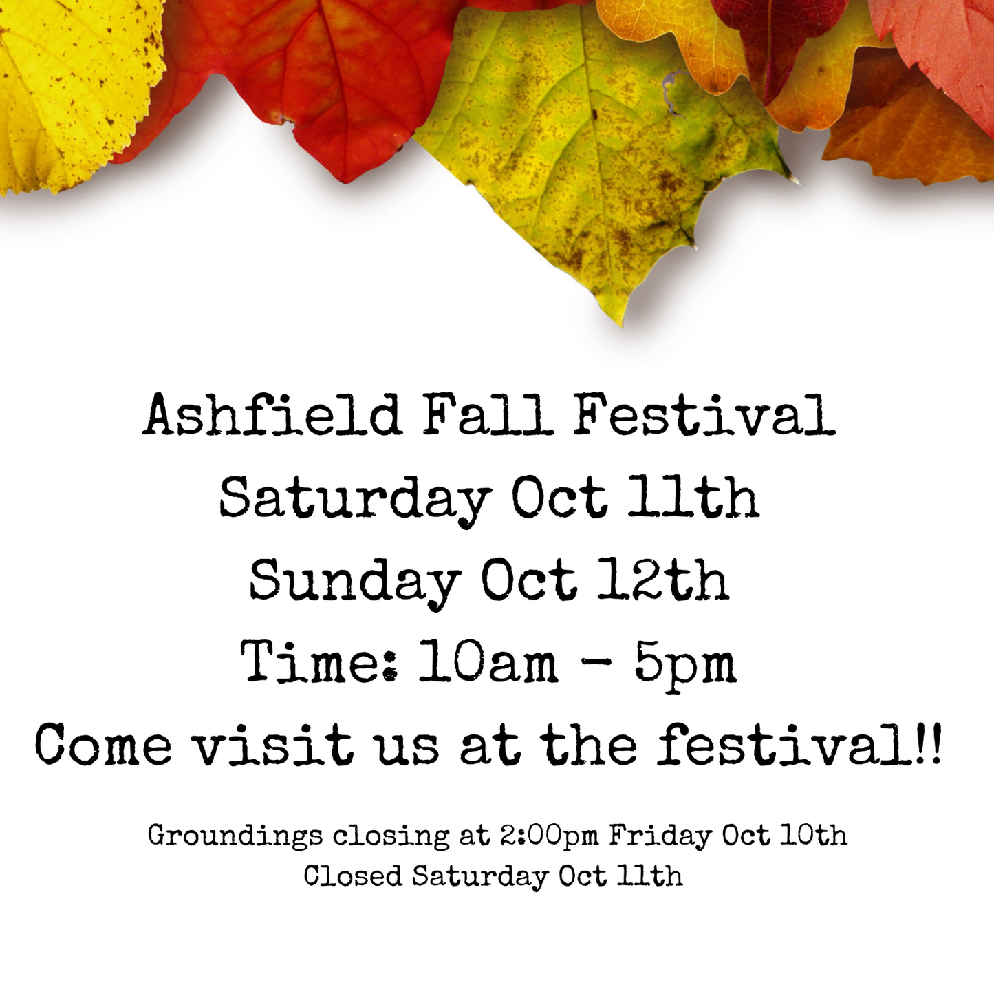Ashfield Fall Festival