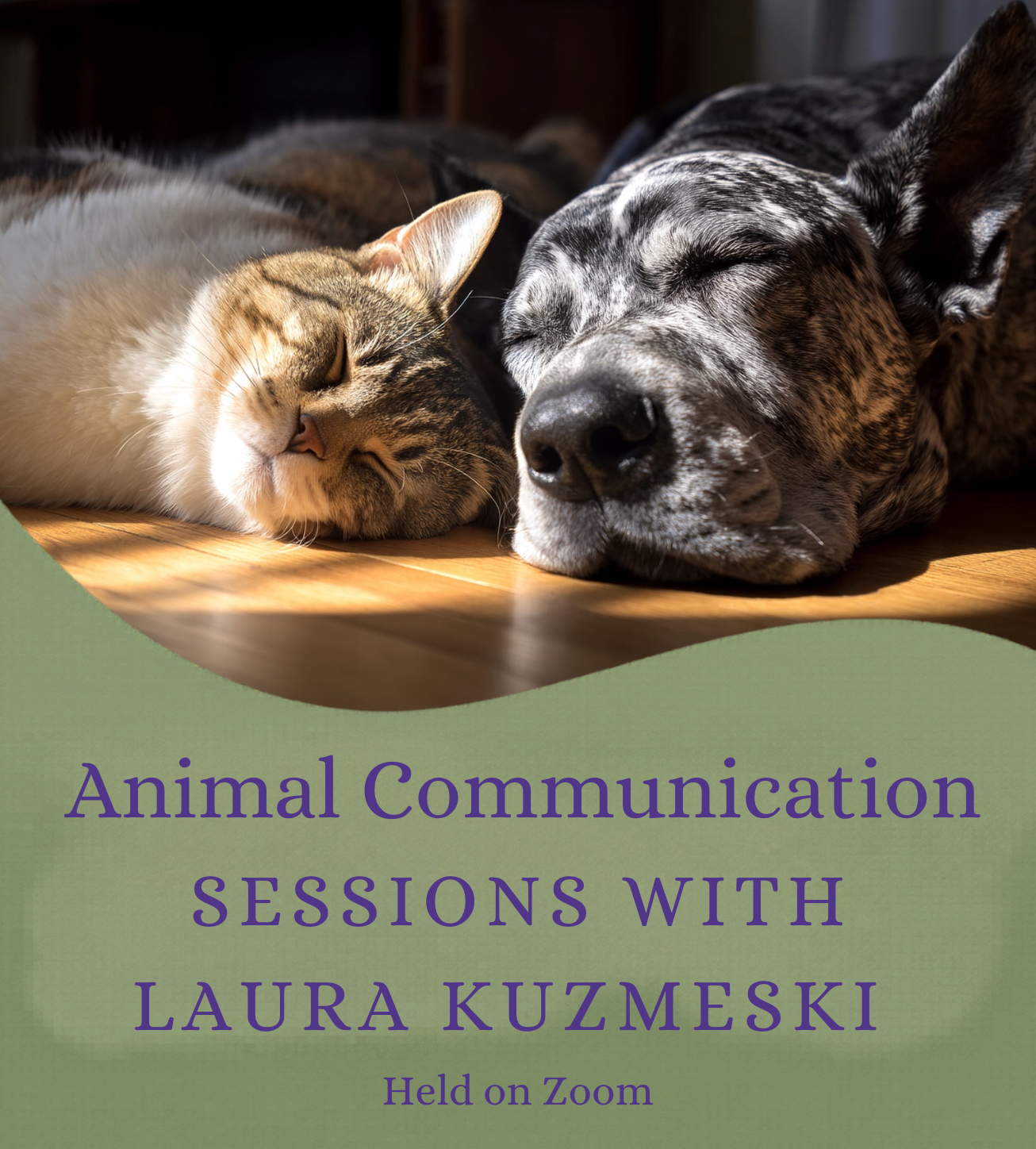 Sessions With Laura Kuzmeski
