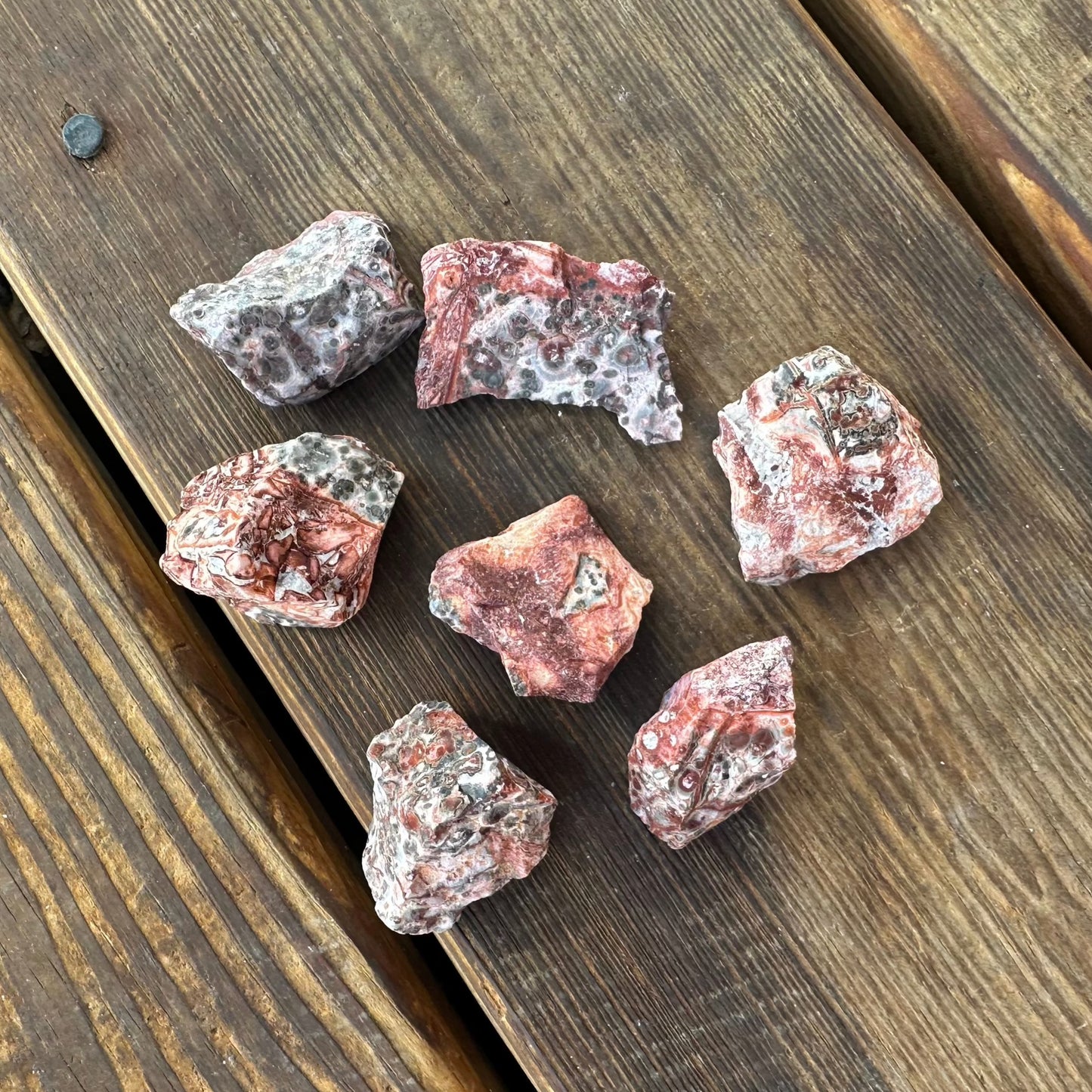 Leopardskin Jasper Raw