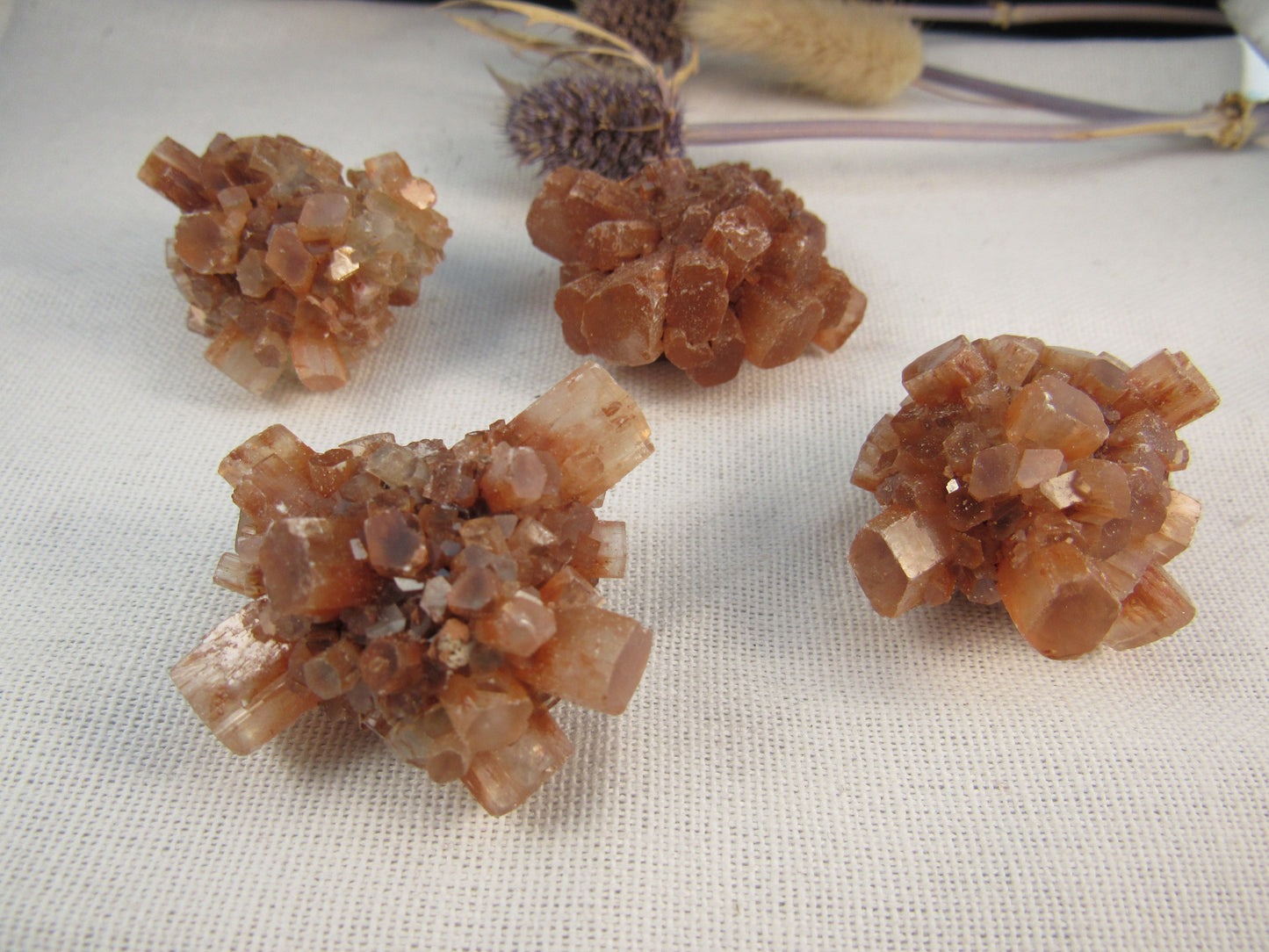 Aragontie Clusters