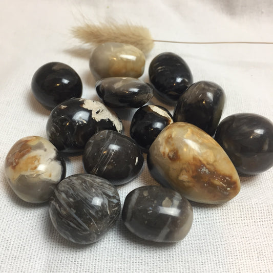 Feathered Agate