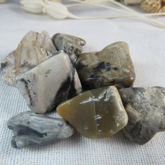 Dry Creek Jasper