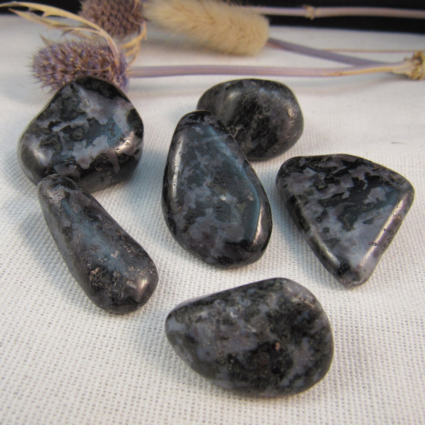 Indigo Gabbro/Mystic Merlinite