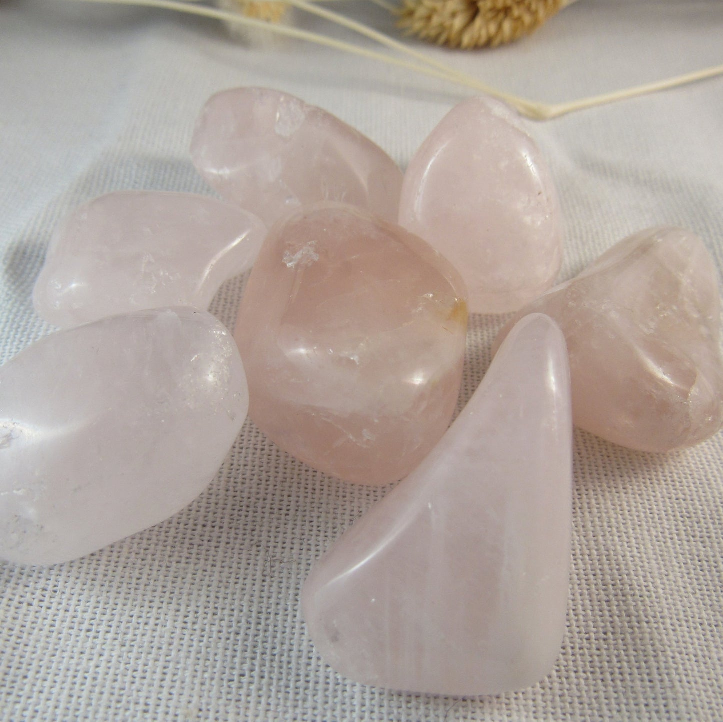 Rose Quartz