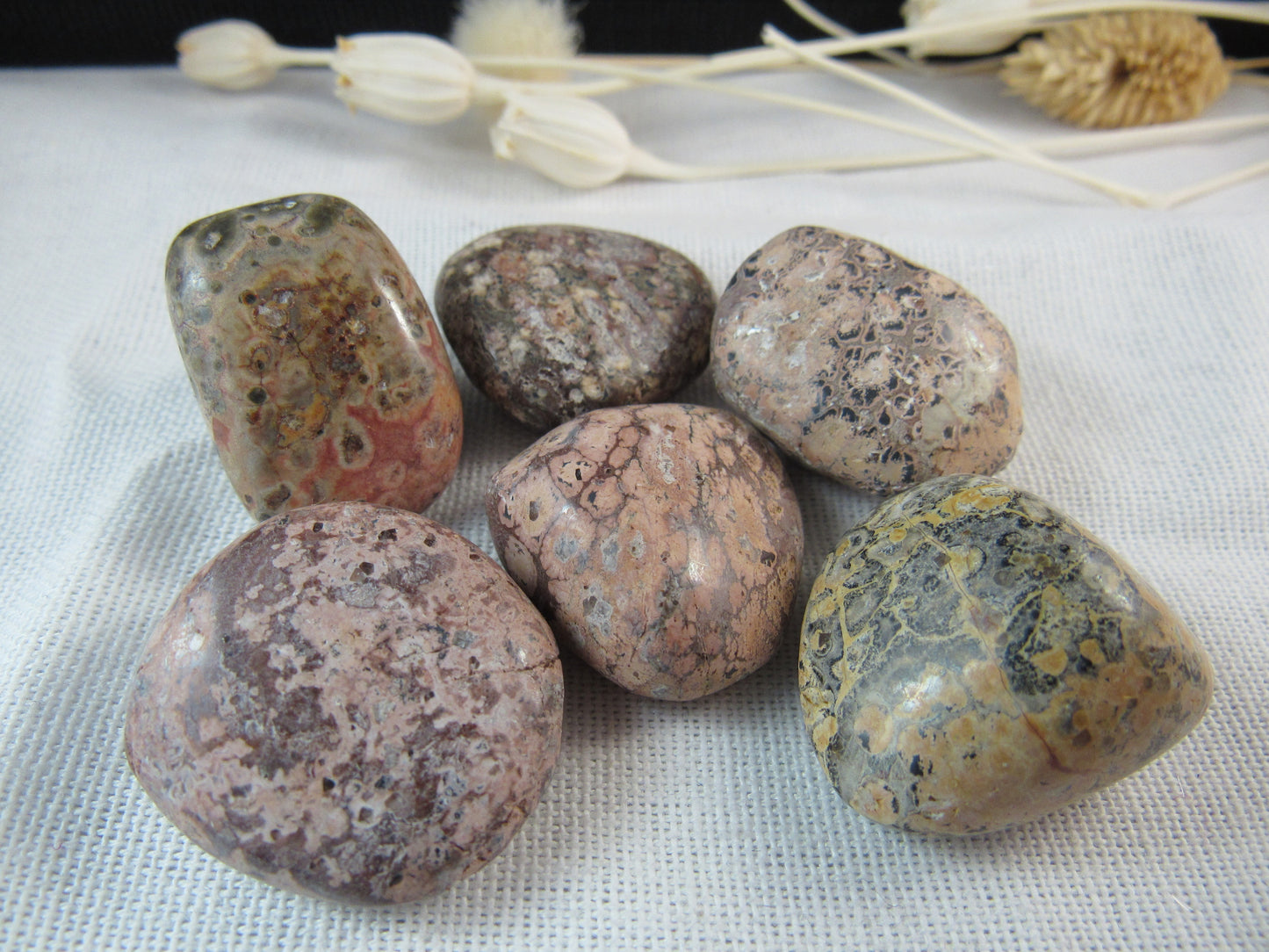Leopardskin Jasper