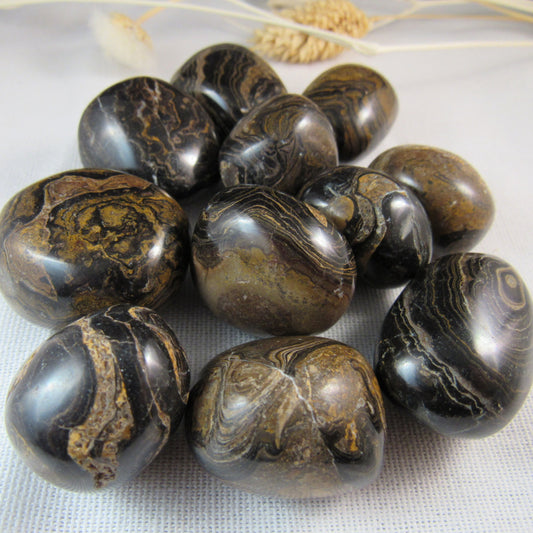 Stromatolite