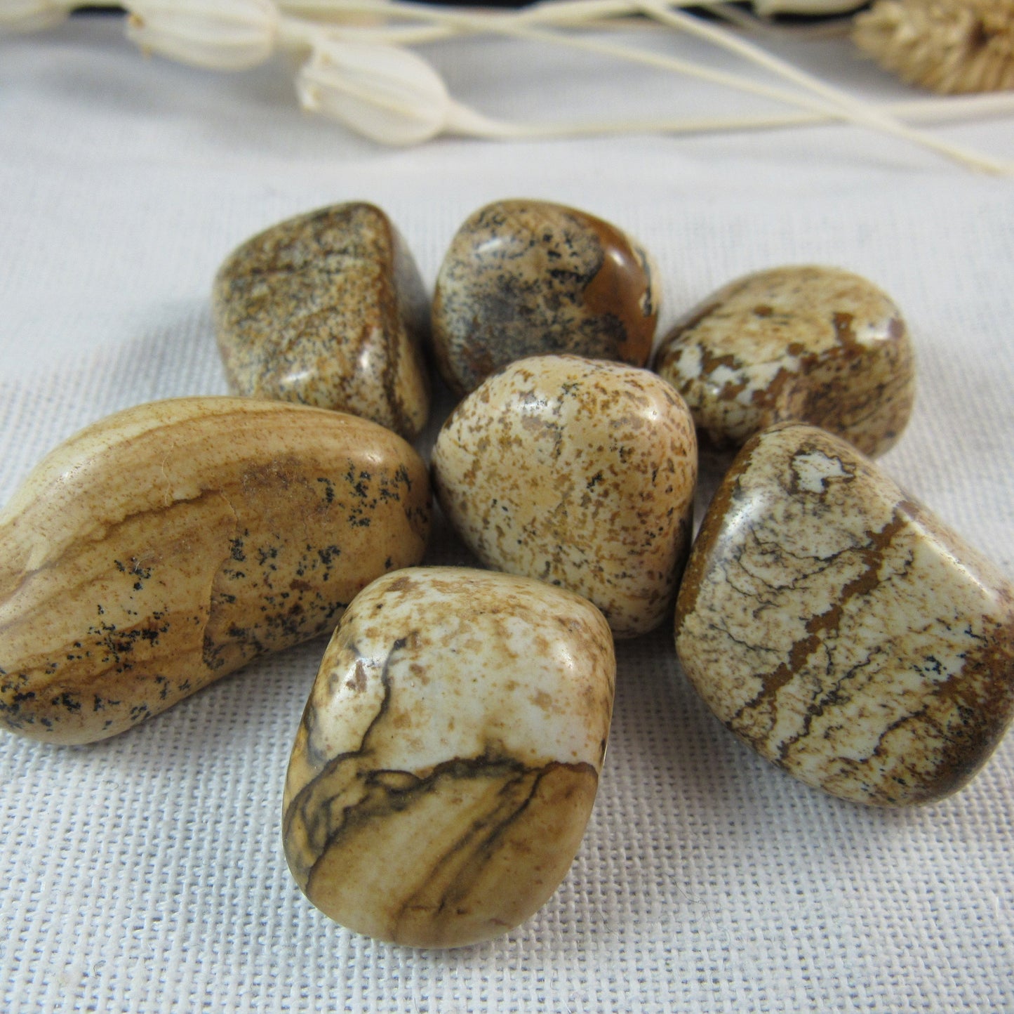 Picture Jasper