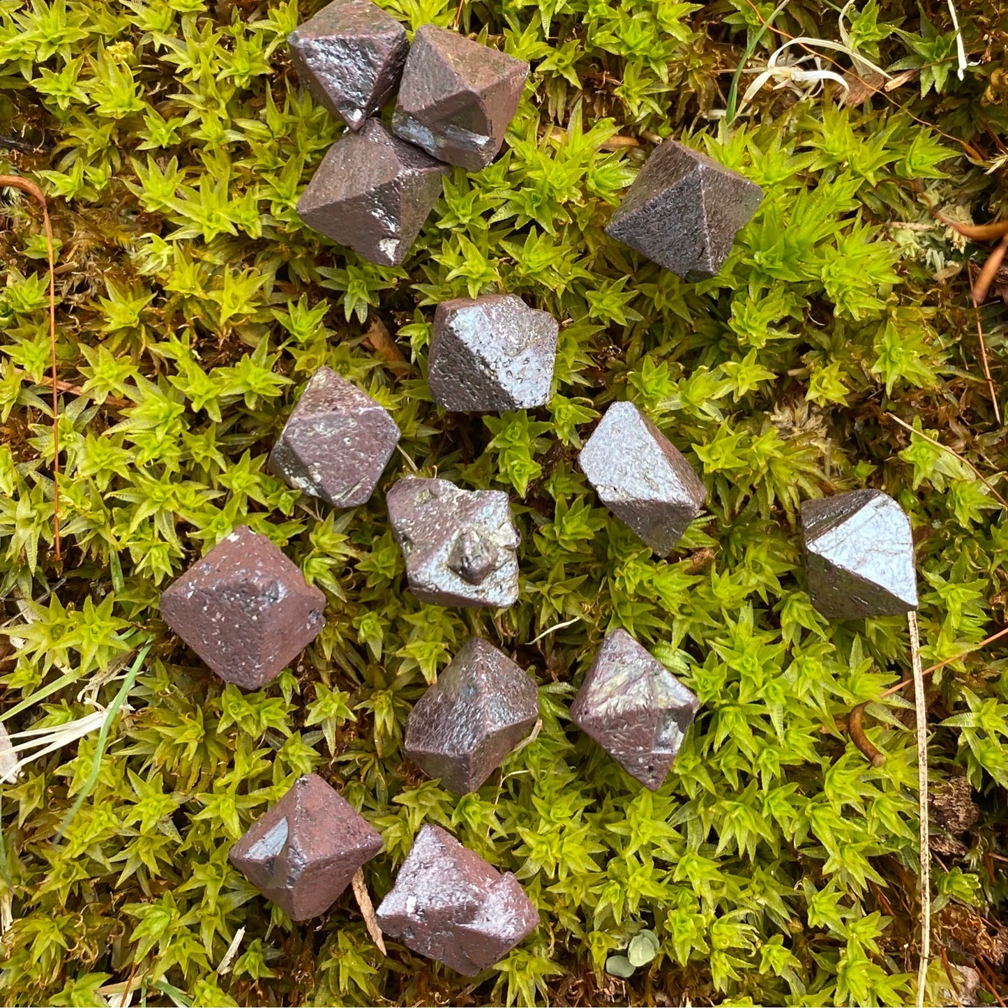 Magnetite Octahedral