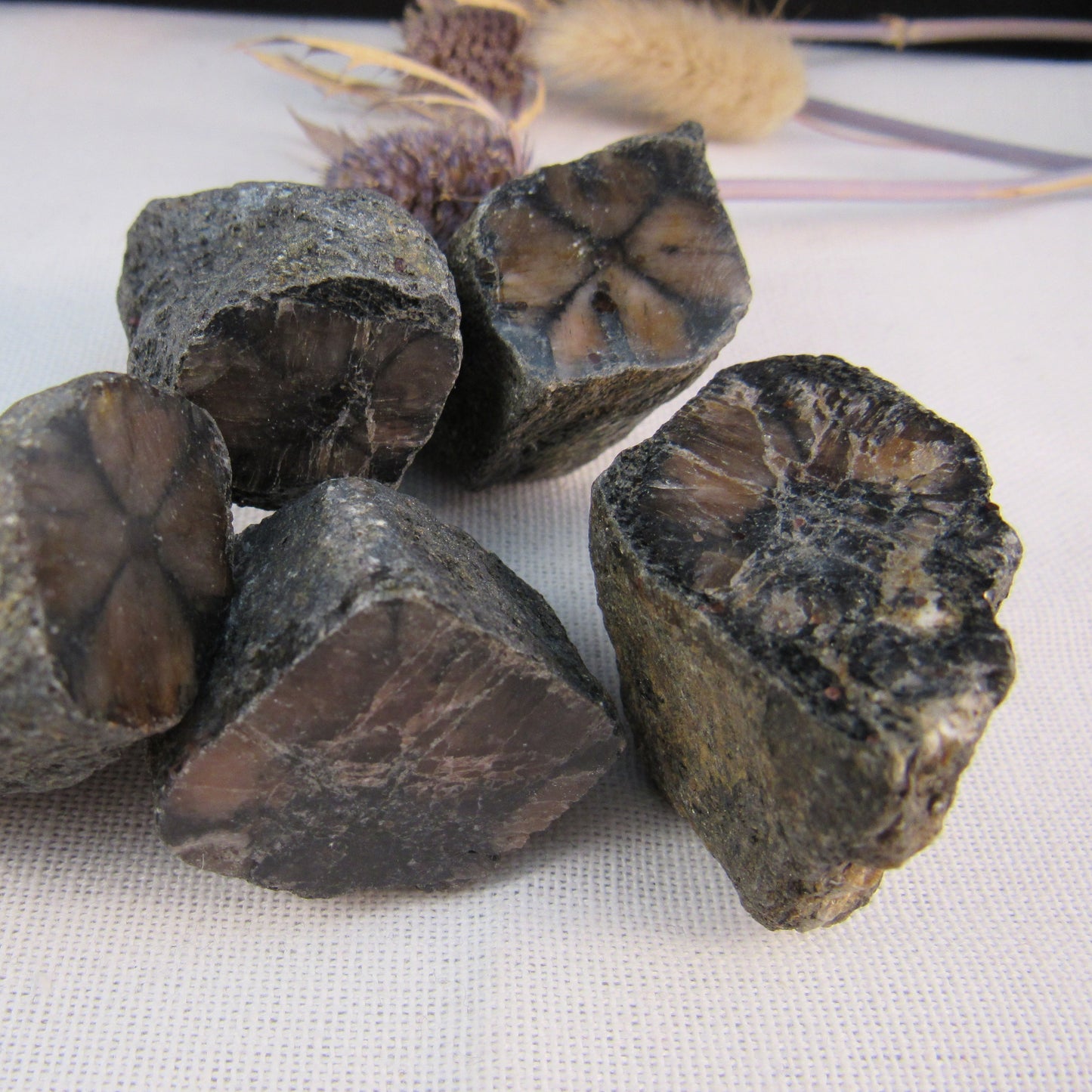 Chiastolite - Cross Stone Raw