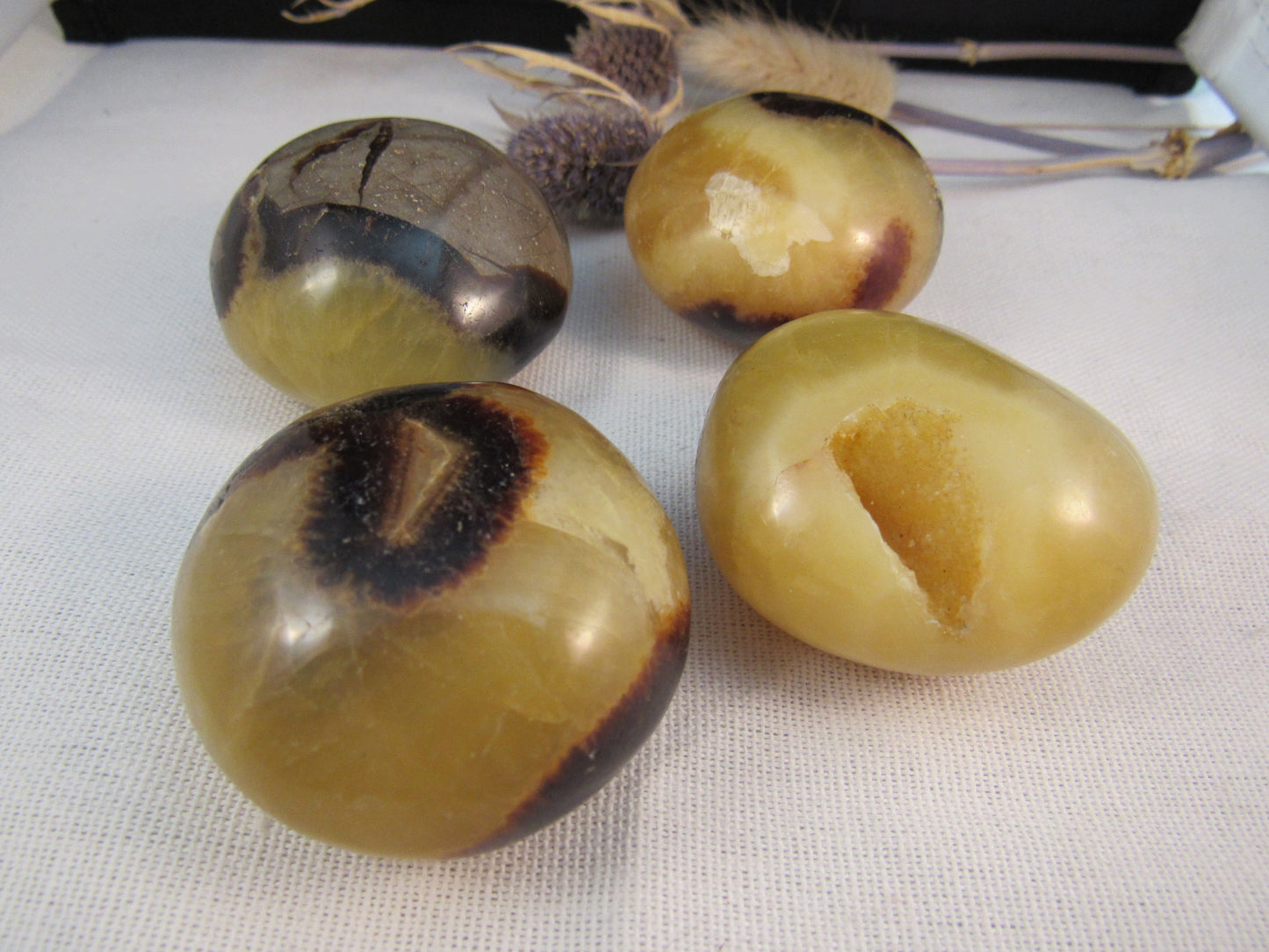 Septarian