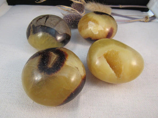 Septarian