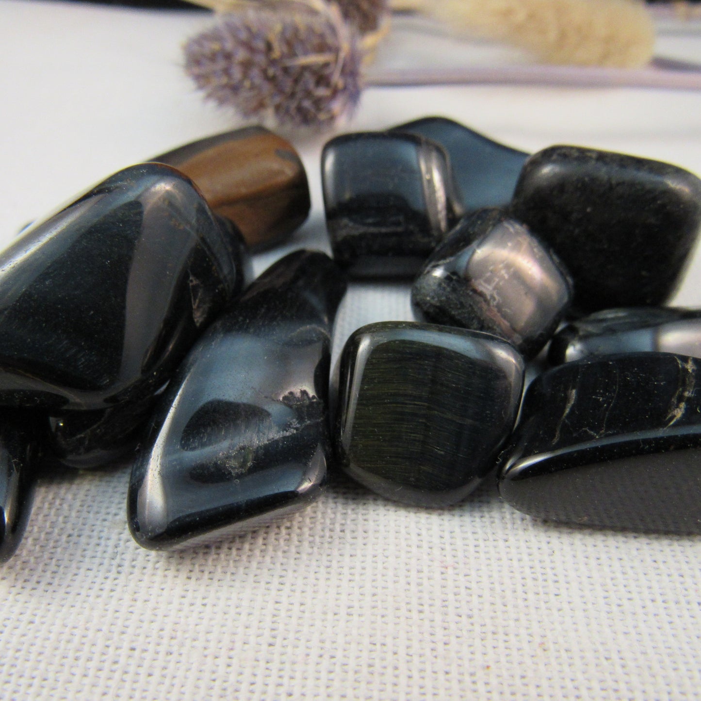 Tigers Eye Blue (hawk eye)