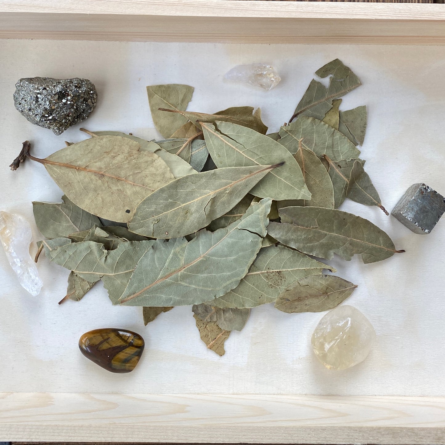 Bay Leaves