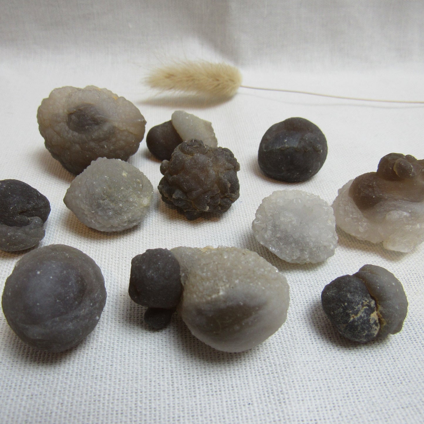 Truffle Chalcedony