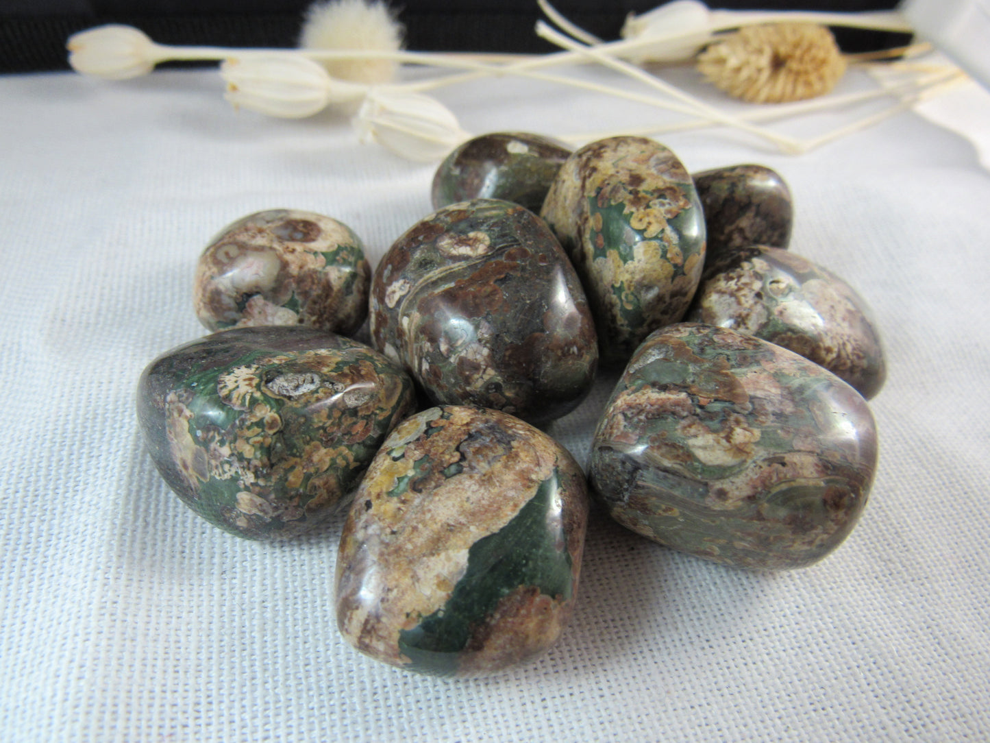Jaguar Stone aka Green Leopard Jasper