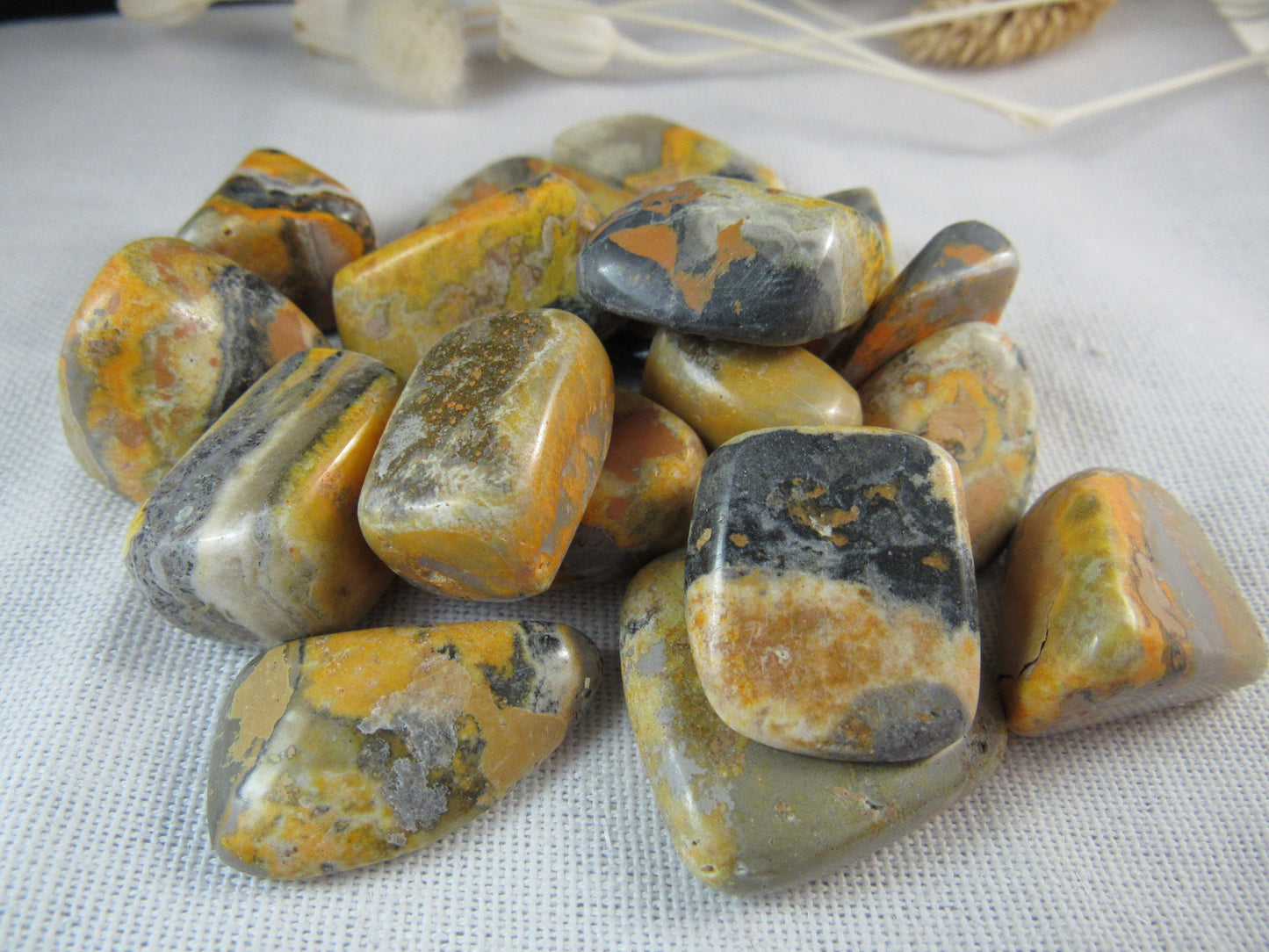 Bumble Bee Jasper