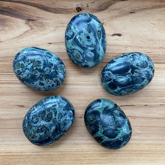 Kambaba Jasper Palm