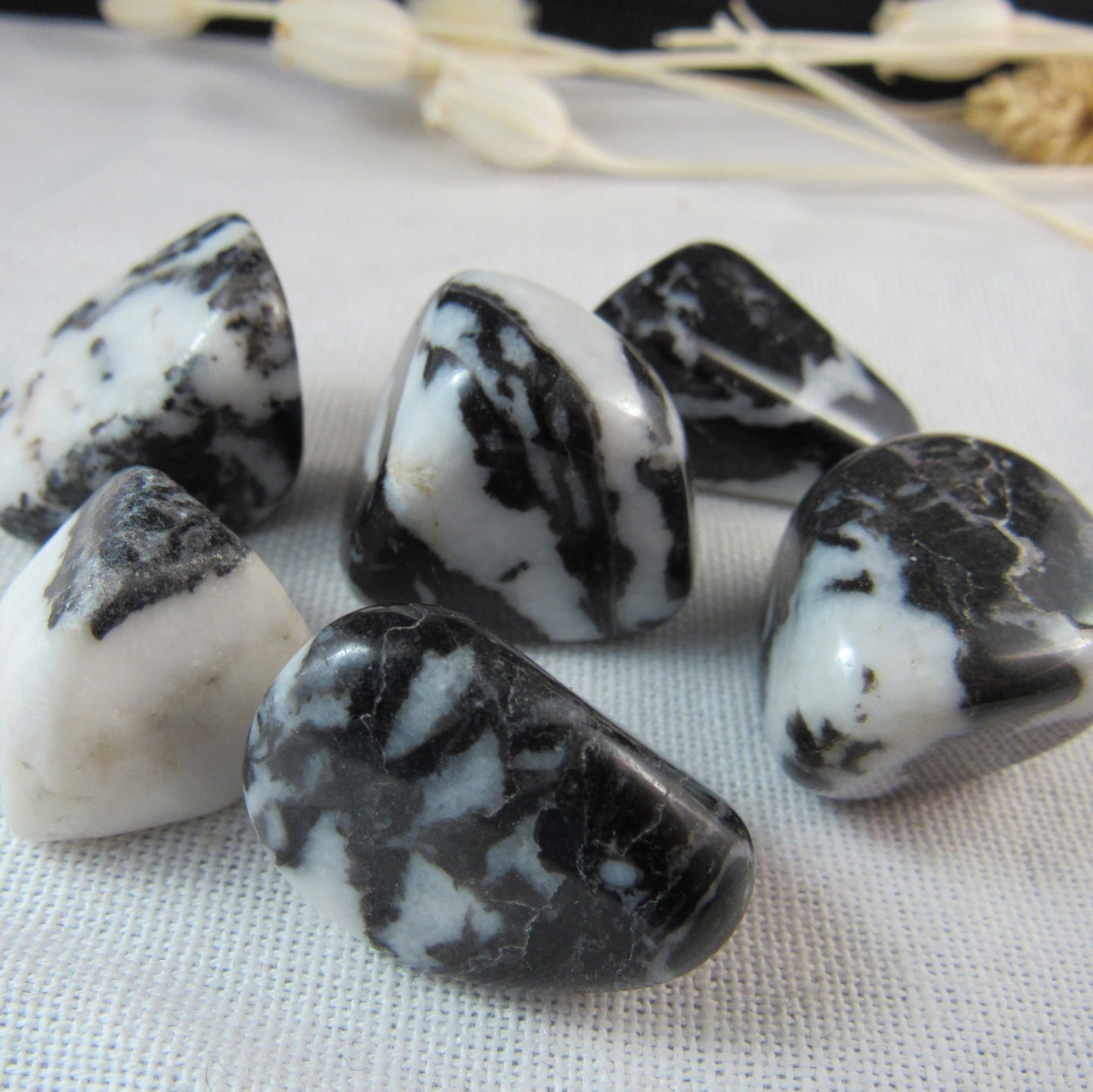 Zebra Agate
