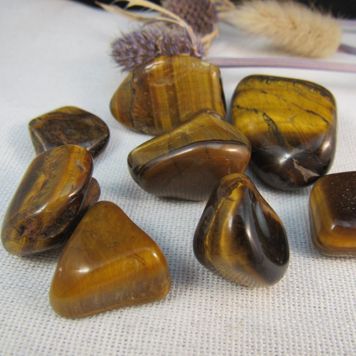 Tigers Eye Golden