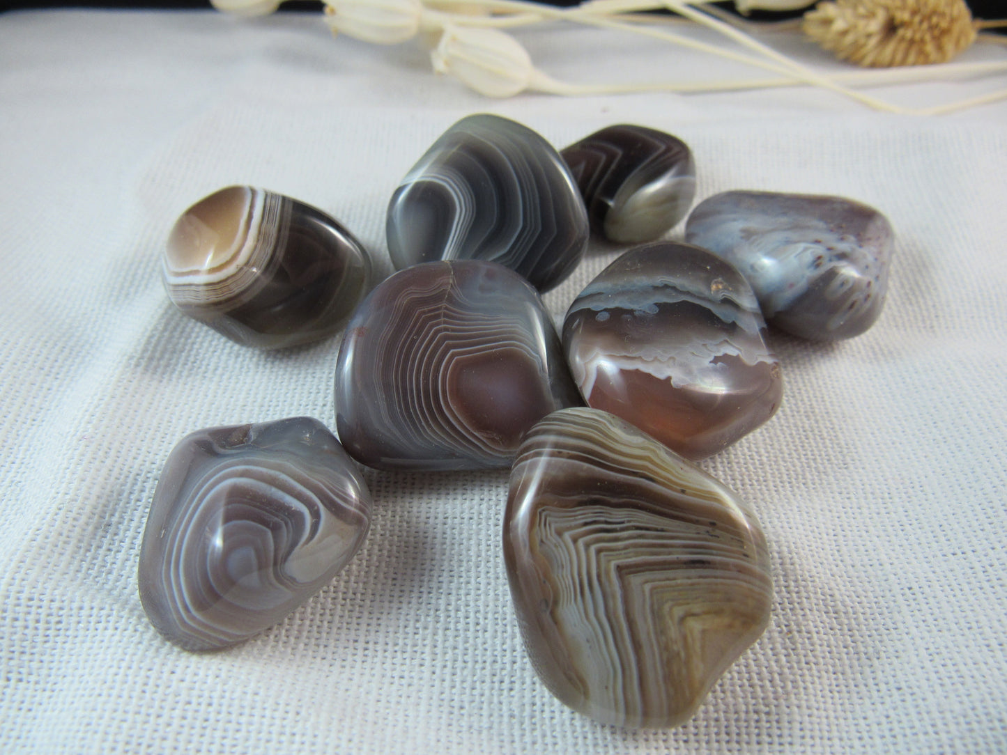 Botswana Agate