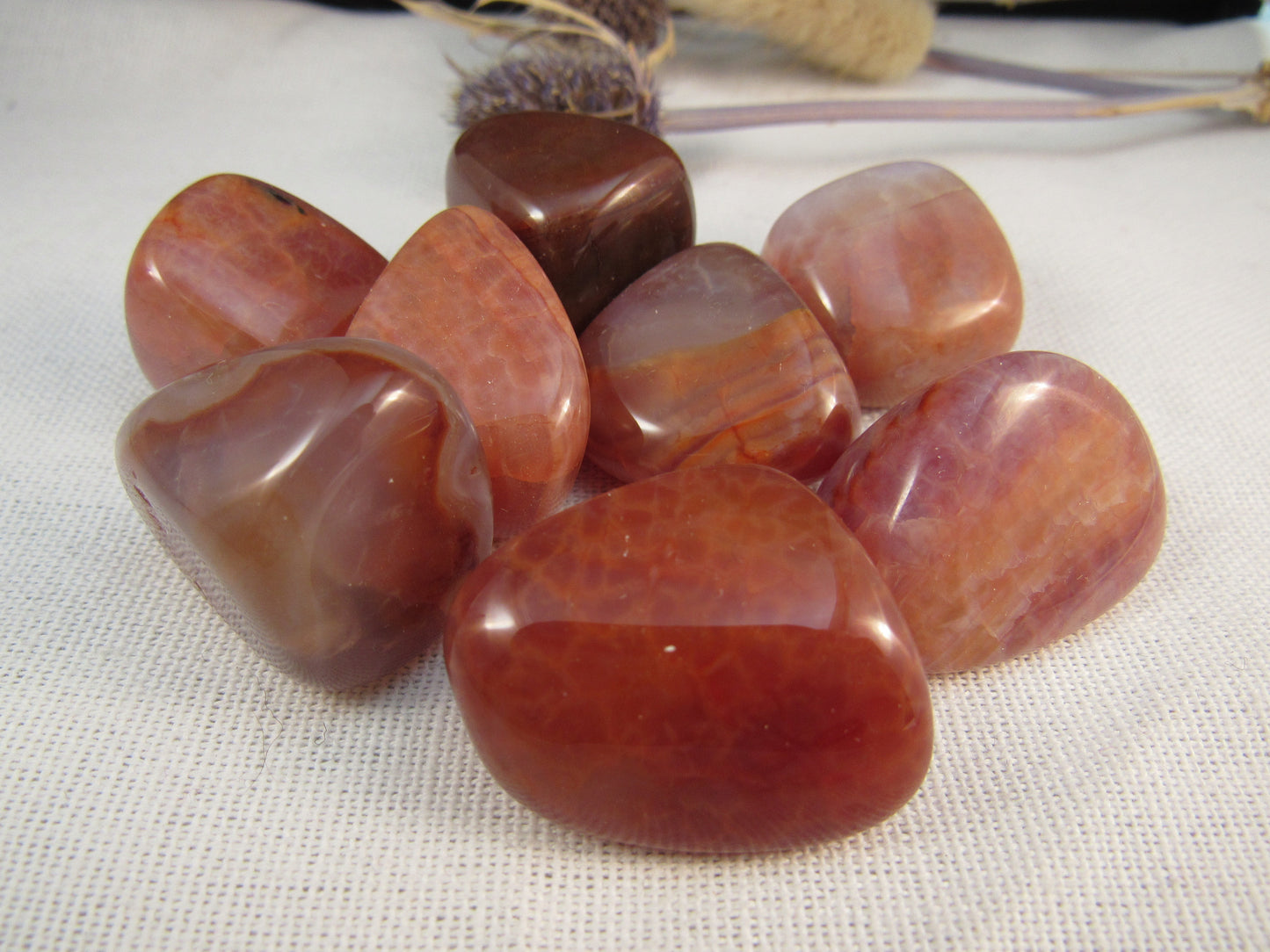 Crab Fire Agate