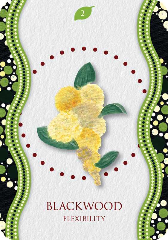 Aboriginal Healing Oracle  by Mel Brown