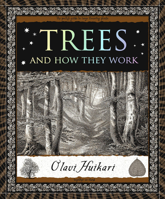 Trees and How They Work