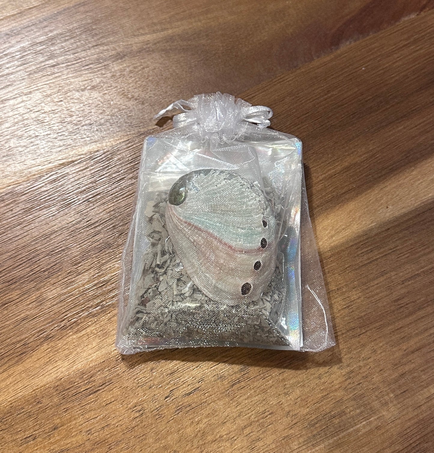 Sage & Shell Ritual Kit