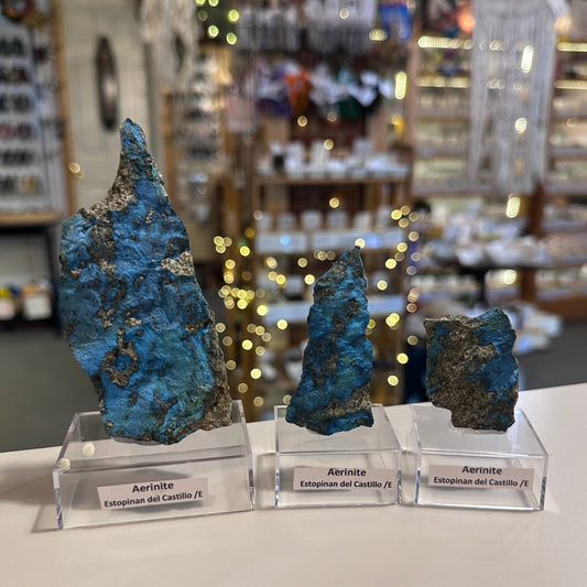 Three blue aerinite mineral specimens on clear acrylic stands, displayed on a white surface with a blurred shop background and warm string lights.