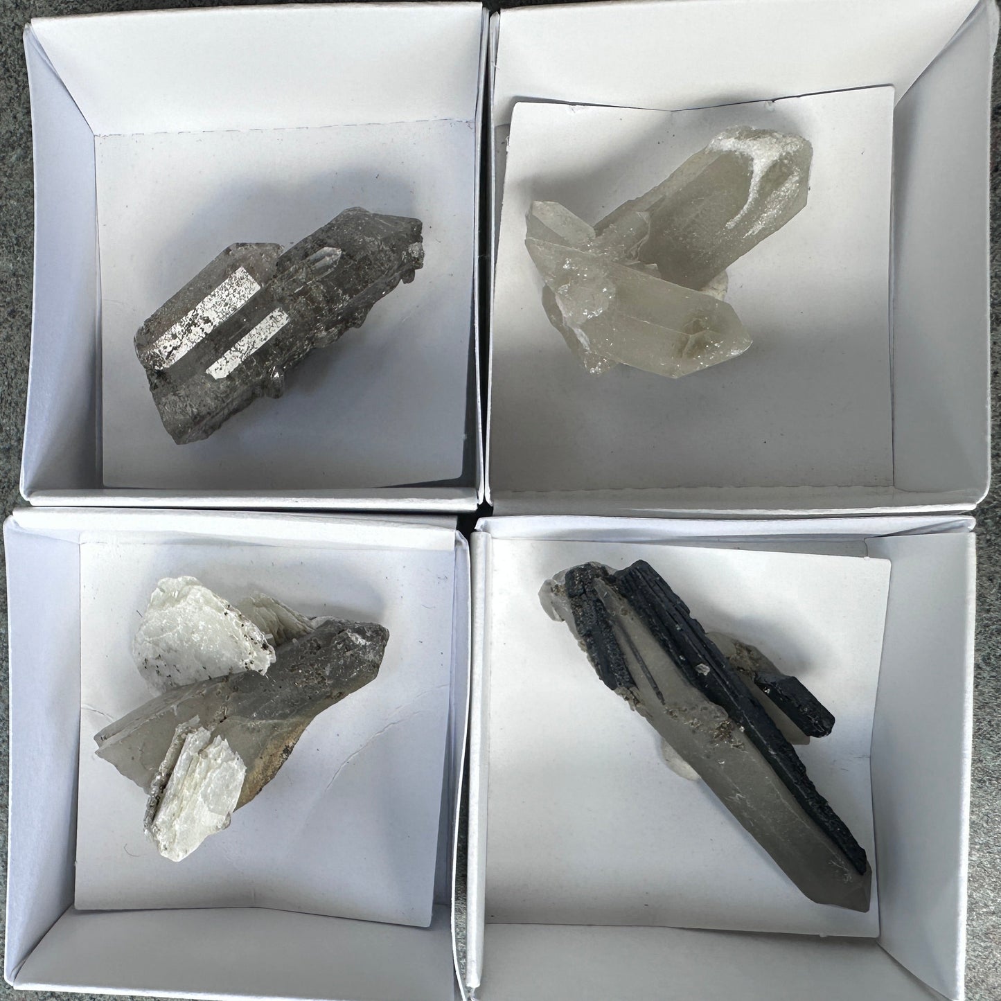 Hedenbergite Inclusion Quartz