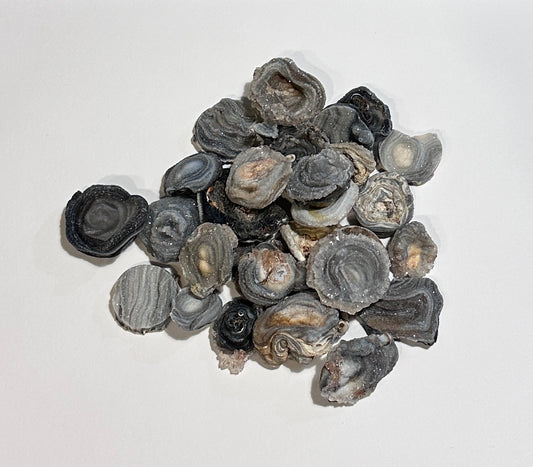 Chalcedony Roses