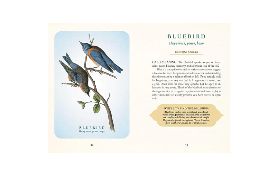 The Spiritual Meaning of Birds Oracle Deck