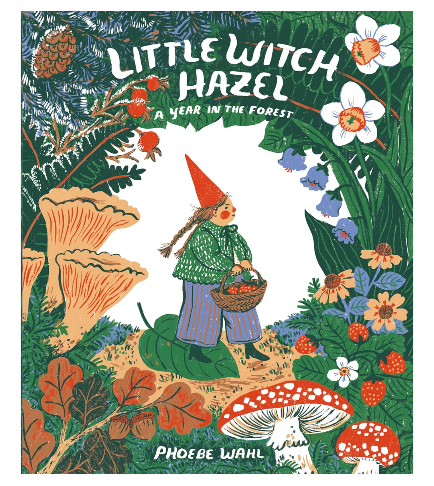 Little Witch Hazel