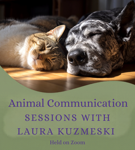 Sessions With Laura Kuzmeski