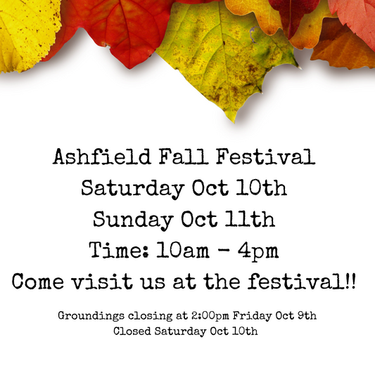 Ashfield Fall Festival