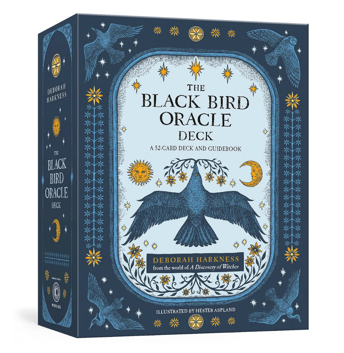 The black Bird Oracle
