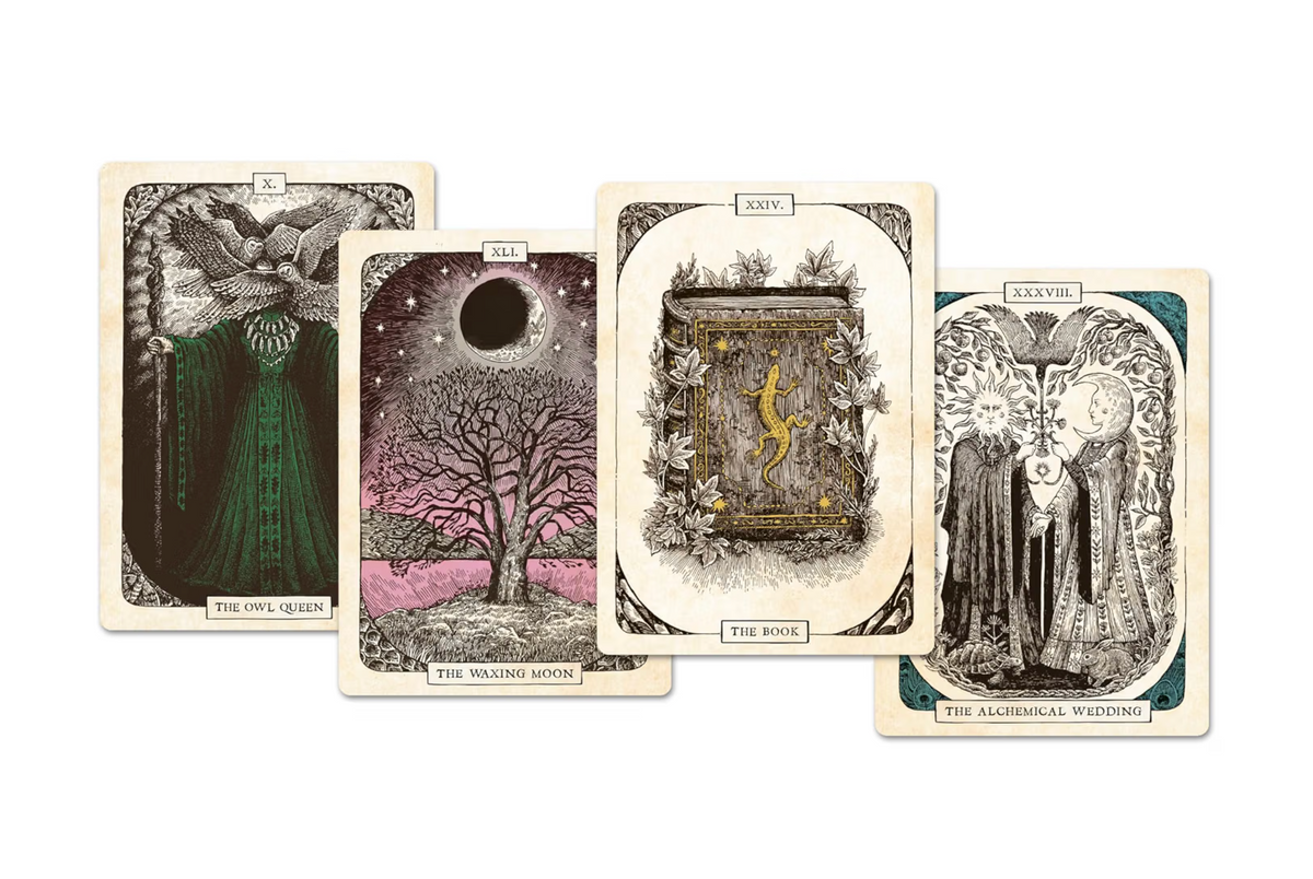 The black Bird Oracle