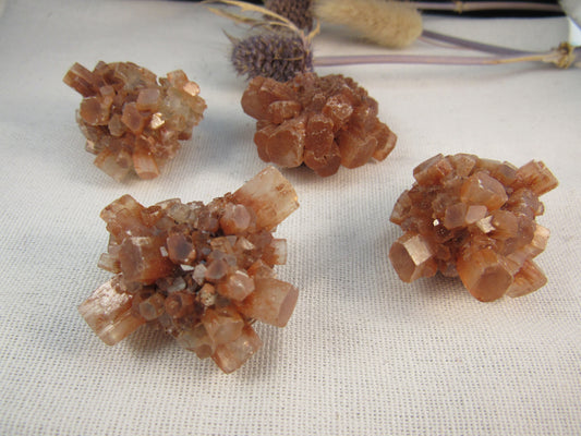 Aragontie Clusters