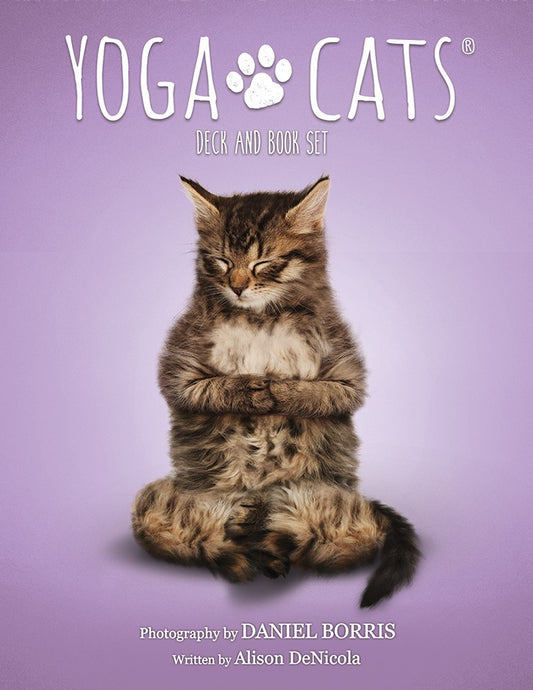 Yoga Cat Oracle