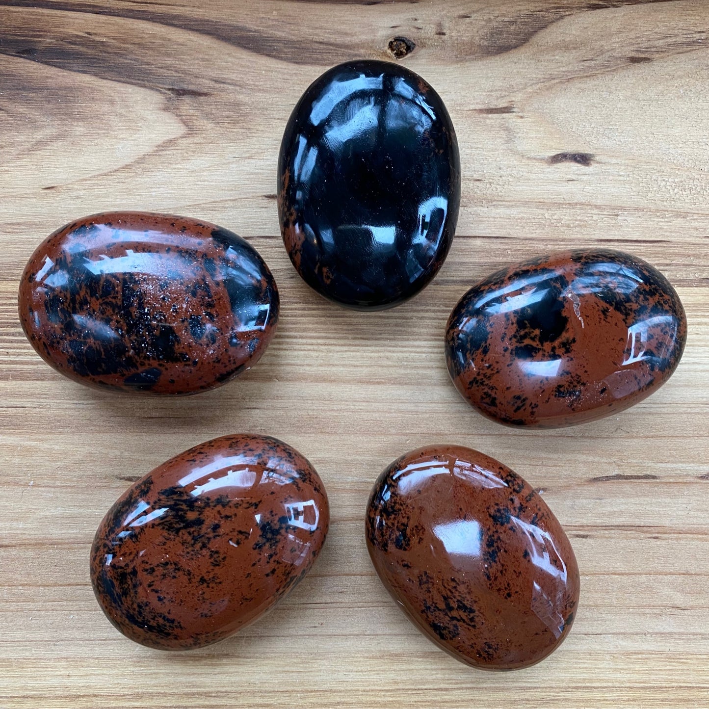 Mahogany Obsidian Palm