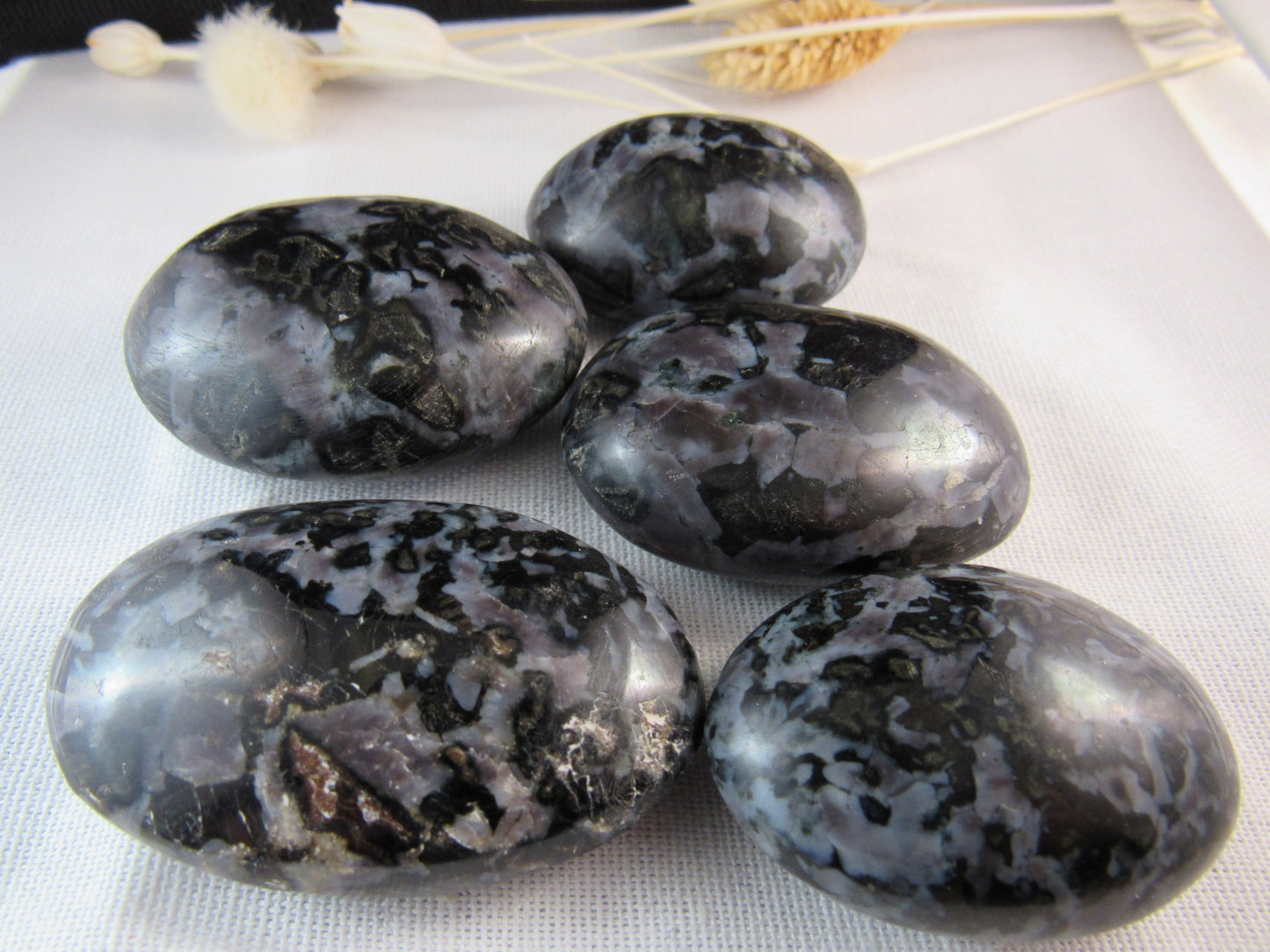 Indigo Gabbro