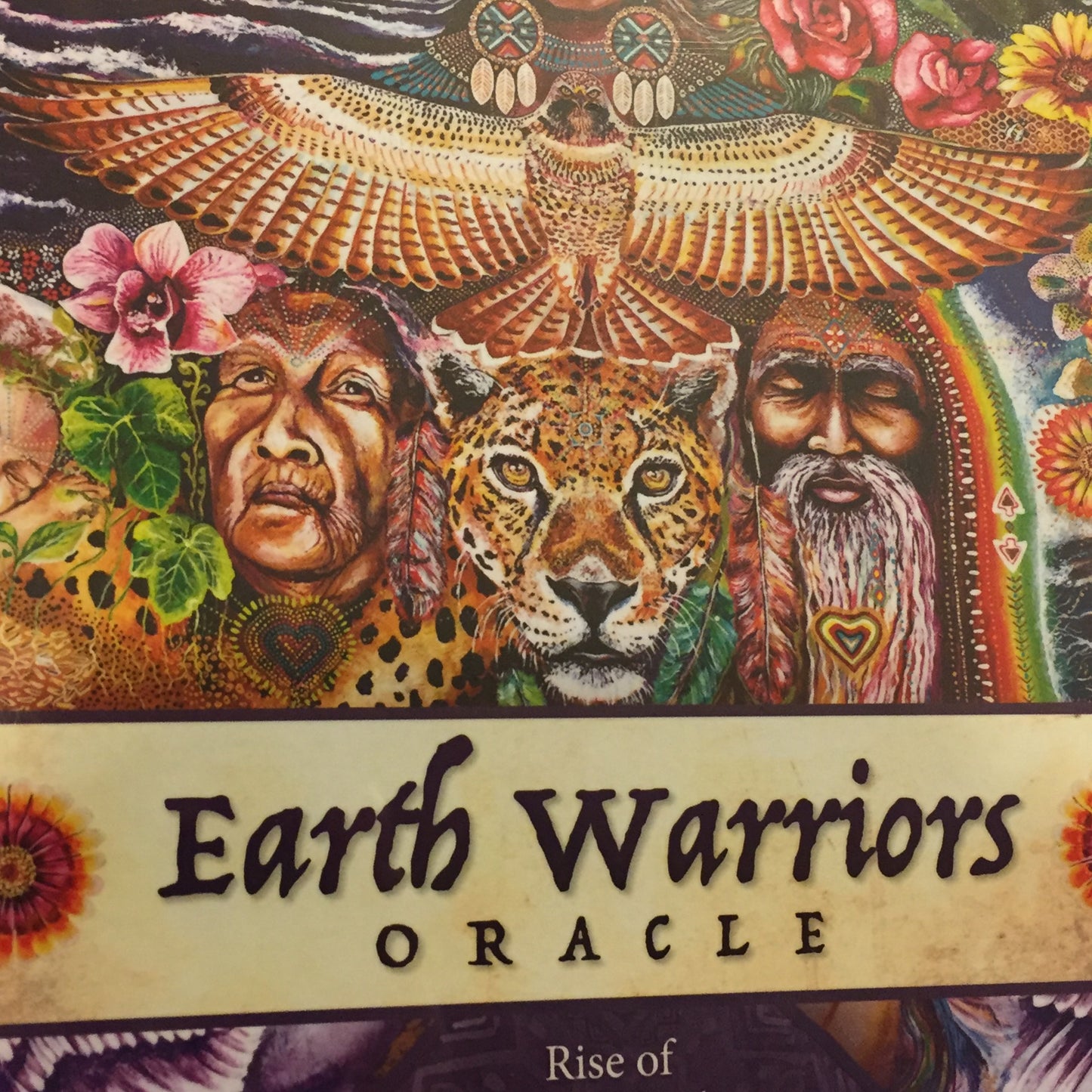 Earth Warriors Oracle