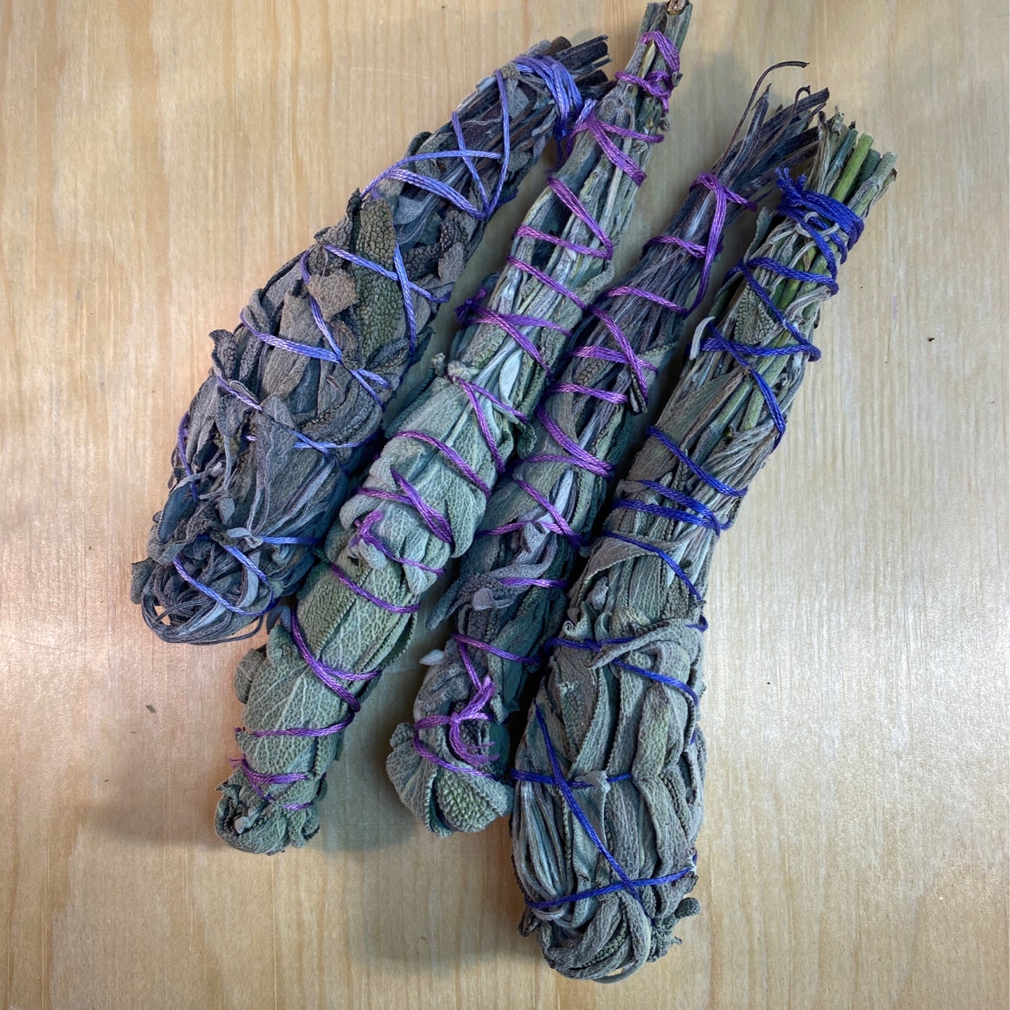 Purple Garden Sage Bundle