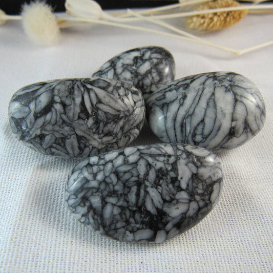 Pinolith