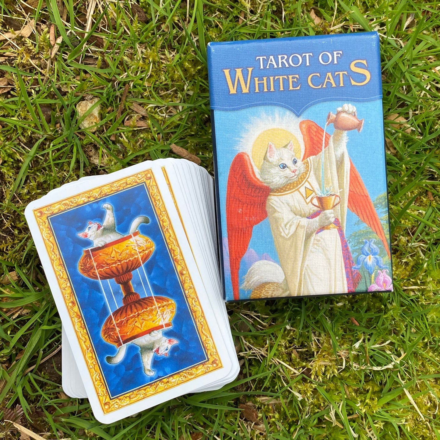 Tarot Of White Cats Mini