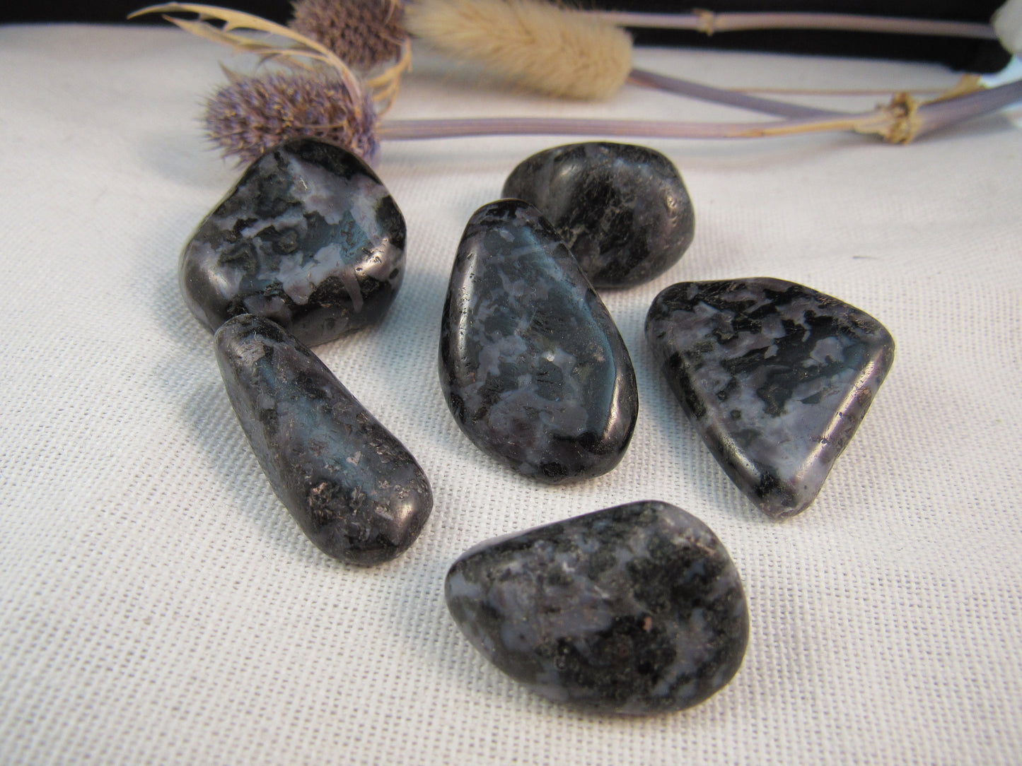 Indigo Gabbro/Mystic Merlinite