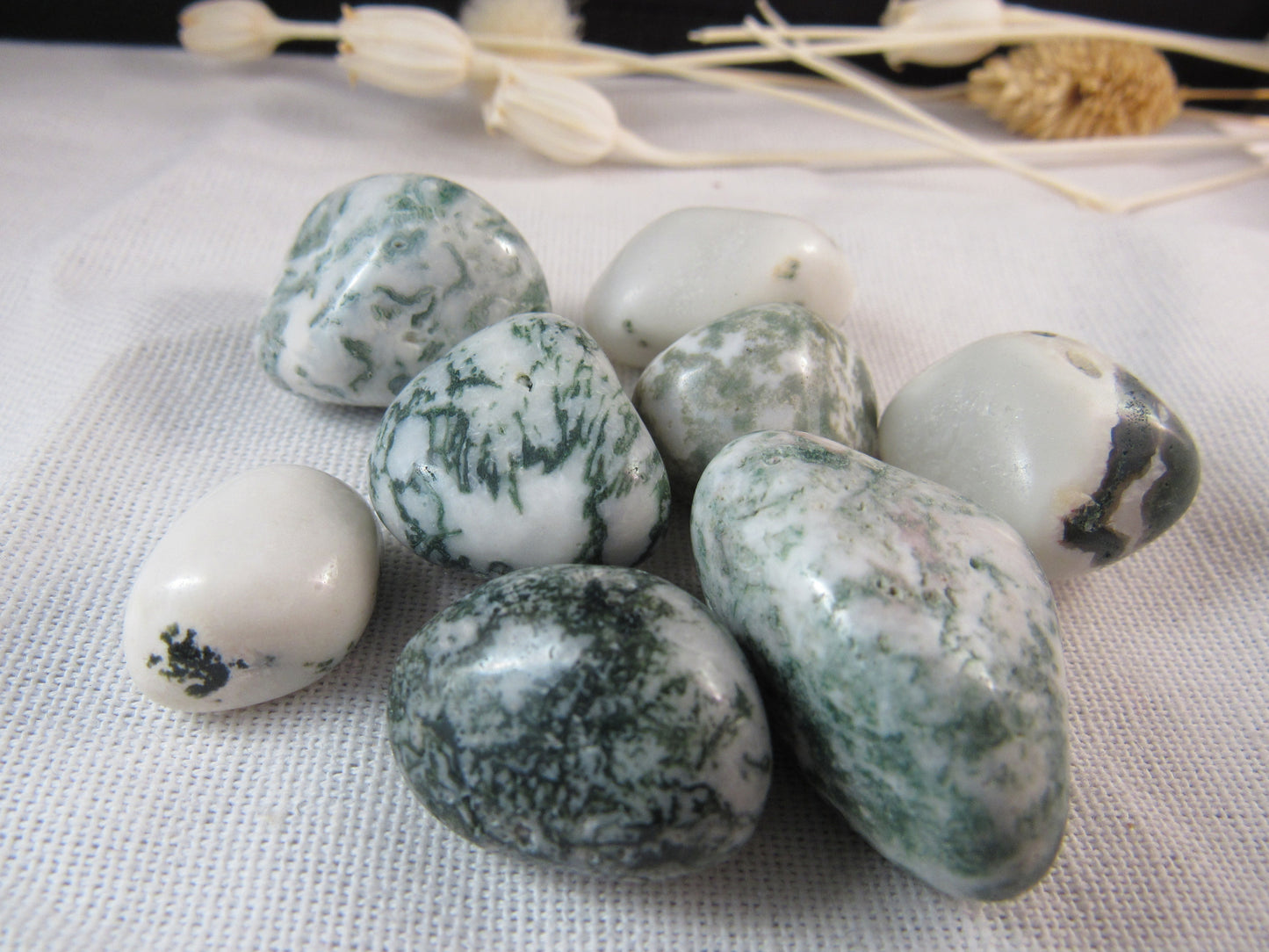 Tree Agate